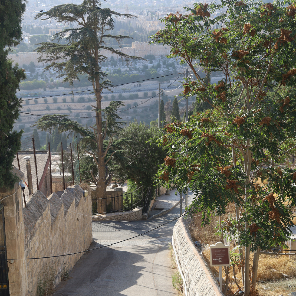 View in Jerusalem